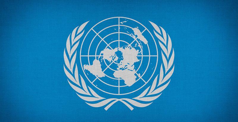 Україна увійшла до складу Комітету зі всесвітньої продовольчої безпеки ООН