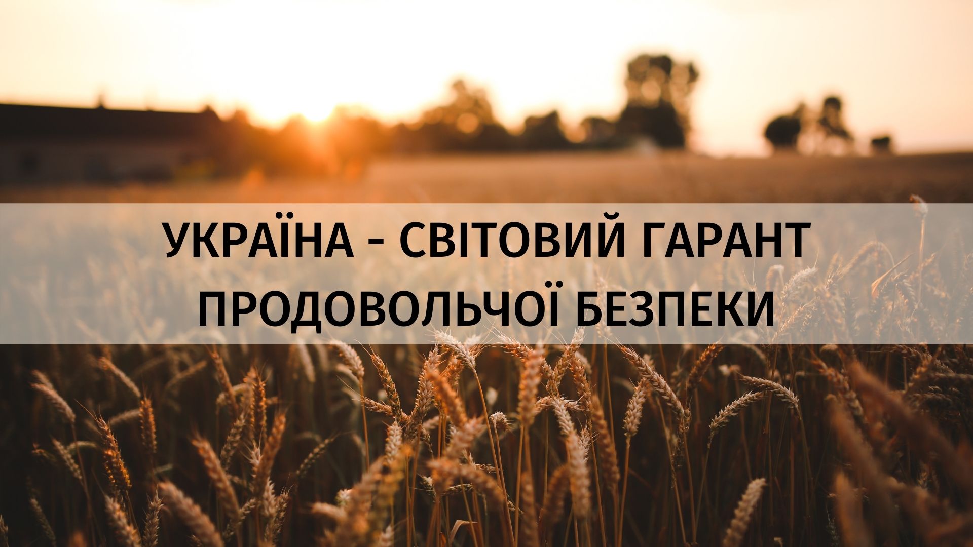 Роль України у світовій продовольчій безпеці